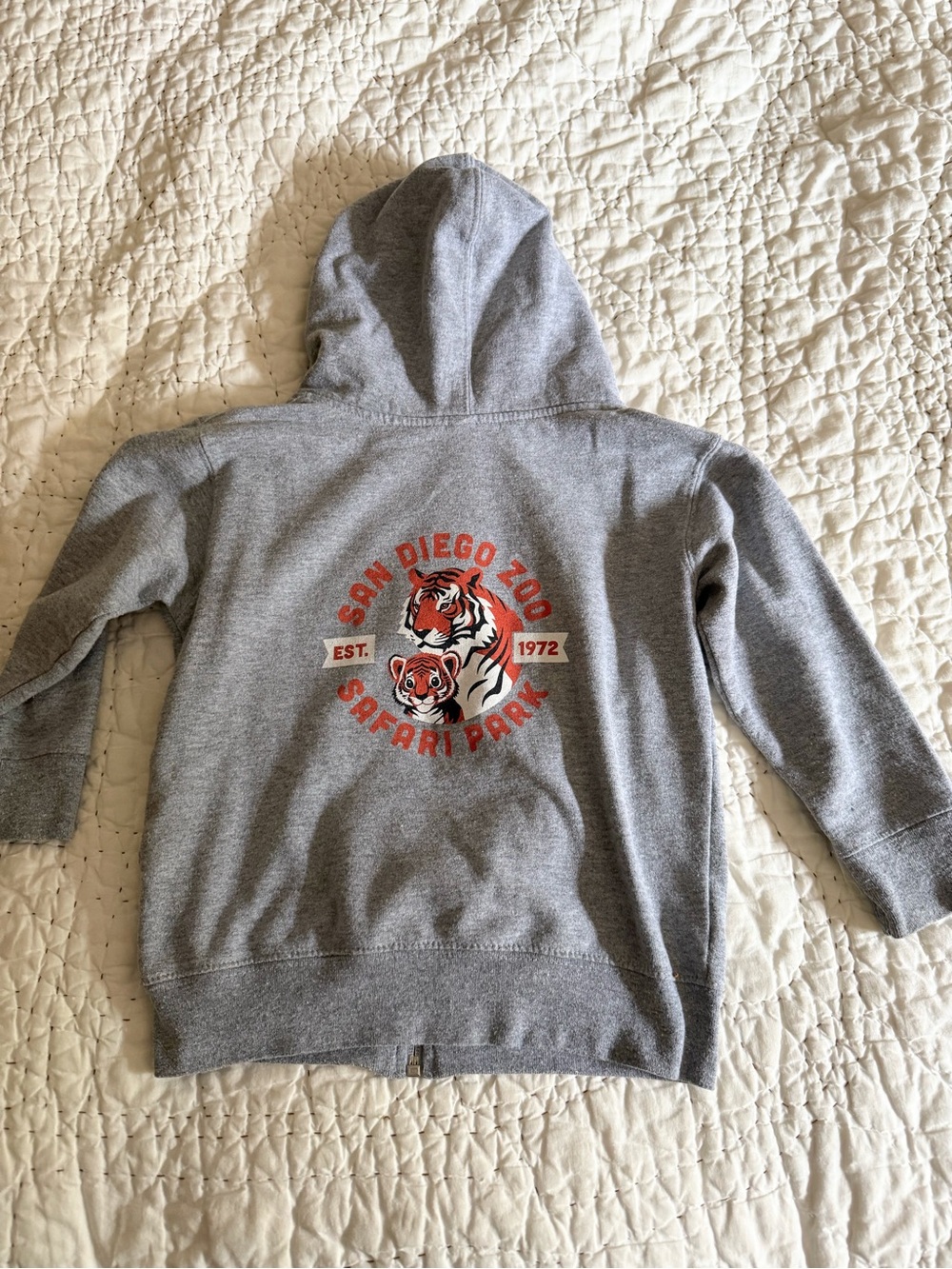 Kids 4T Gray San Diego Zoo Safari Park Hoodie